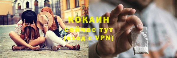 соль курить ск Заводоуковск