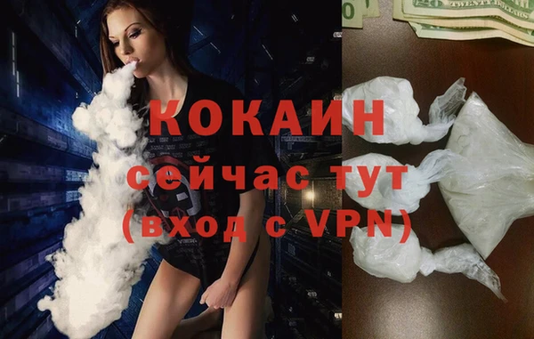 соль курить ск Заводоуковск